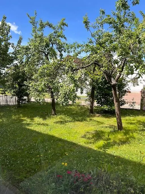 Wunderschoene Wohnung In Perfekter Lage Hilpoltstein 0*,